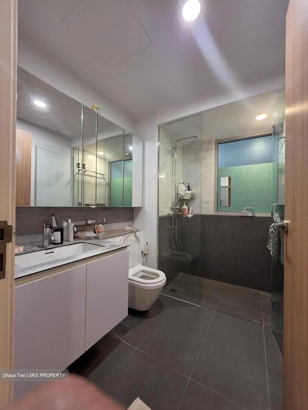 The Minton (D19), Condominium #612670421